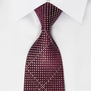 Indian Homme Rhinestone Tie Silver Micro Squares On Purple With Silver Sparkles